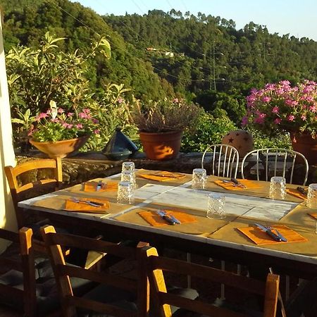 Casa Vacanze Al Settimo Cielo Massa  Zewnętrze zdjęcie