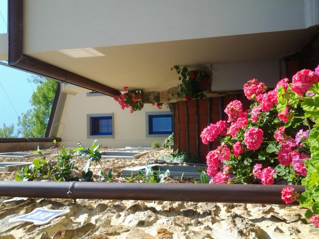 Casa Vacanze Al Settimo Cielo Massa  Zewnętrze zdjęcie
